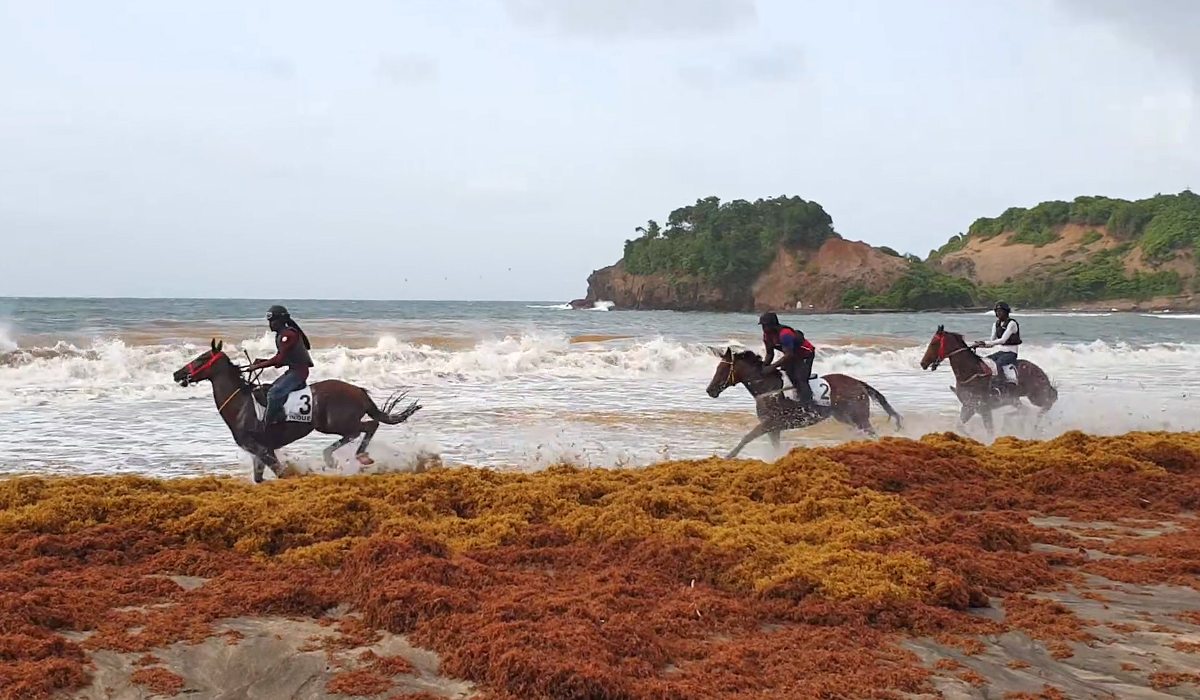 Course aux chevaux sur le front de mer de Sainte-Marie